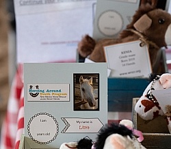 Walkin N Circles Adoptathon