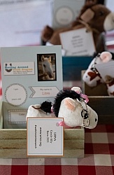 Walkin N Circles Adoptathon