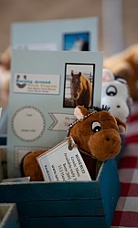 Walkin N Circles Adoptathon