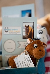 Walkin N Circles Adoptathon