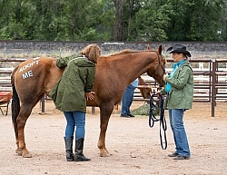 Walkin N Circles Adoptathon
