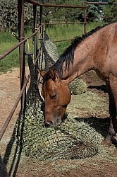 Walkin N Circles Horse Shelter