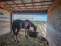 Walkin N Circles Horse Shelter