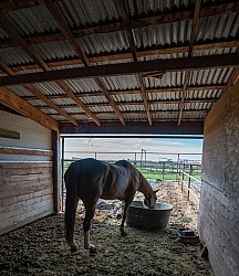 Walkin N Circles Horse Shelter