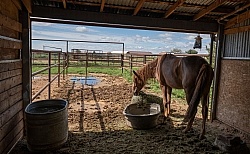 Walkin N Circles Horse Shelter