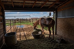 Walkin N Circles Horse Shelter