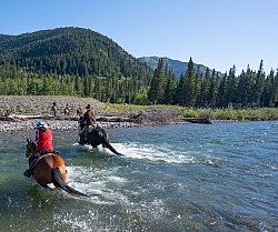 River Crossing on Lost Trail Ride Anchor D Outfitting