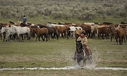Cowgirls at Sombrero Ranch