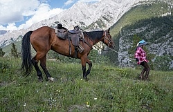 Leading Horses Downhill on the Lost Trail Ride with Anchor D
