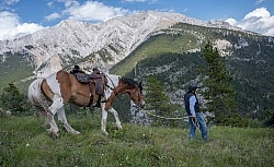 Leading Horses Downhill on the Lost Trail Ride with Anchor D