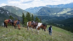 Leading Horses Downhill on the Lost Trail Ride with Anchor D