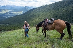 Leading Horses Downhill on the Lost Trail Ride with Anchor D