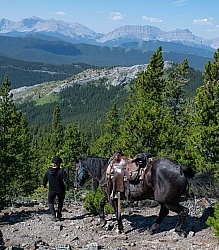 Leading Horses Downhill - Lost Trail Ride - Anchor D