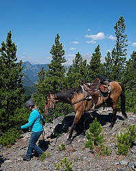 Leading Horses Downhill - Lost Trail Ride - Anchor D