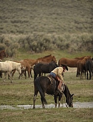 Cowgirls at Sombrero Ranch