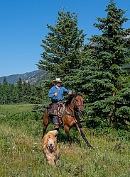 Galloping on The Lost Trail Ride