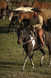 Sombrero Ranch Cowgirls