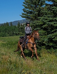 Galloping on The Lost Trail Ride