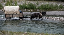 River Crossing - Lost Trail Ride - Anchor D