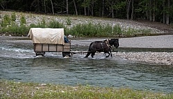 River Crossing - Lost Trail Ride - Anchor D