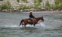 River Crossing - Lost Trail Ride - Anchor D