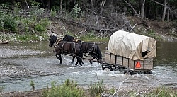 River Crossing - Lost Trail Ride - Anchor D