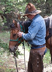 Dewey on te Anchor D Lost Trail Ride