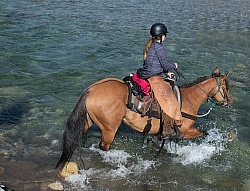 River Crossing - The Lost Trail Ride - Anchor D