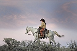 Sombrero Ranch Cowgirls