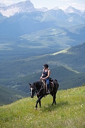 On the Trail with Anchor D Lost Trail Ride