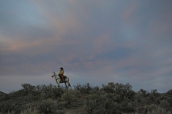 Sombrero Ranch Cowgirls