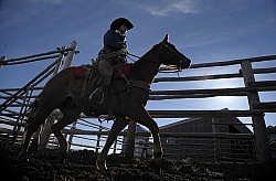 Sombrero Ranch Cowgirls