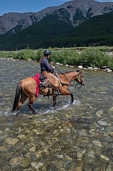 River Crossing - Lost Trail Ride - Anchor D