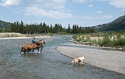 River Crossing - Lost Trail Ride - Anchor D