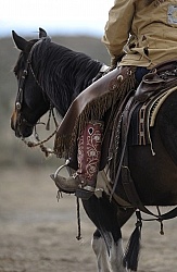 Sombrero Ranch Cowgirls