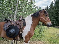 In Camp - Anchor D - Lost Trail Ride