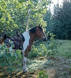 In Camp - Anchor D - Lost Trail Ride