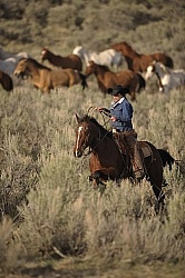 Sombrero Ranch Cowgirls