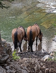 In Camp - Anchor D - Lost Trail Ride