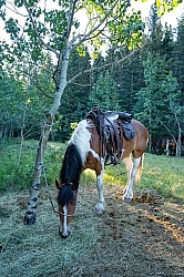 Camp on the Lost Trail Ride with Anchor D