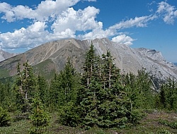 Scenic Views - The Lost Trail Ride with Anchor D