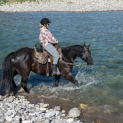 River Crossing - The Lost Trail Ride - Anchor D