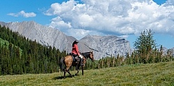 On the Trails - Lost Trail Ride - Anchor D