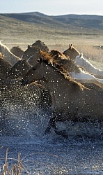 Running Through Water