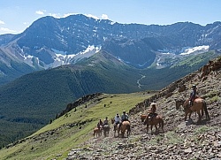 On The Trail - Lost Trail Ride - Anchor D