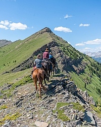 On The Trail - Lost Trail Ride - Anchor D