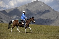 Wild Deuces Womens Retreat Trail Riding
