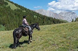 On The Trail - The Lost Trail - Anchor D