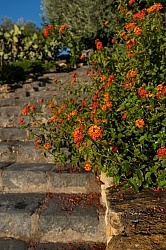 Prinicpe di Aragona, Sicily