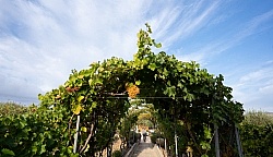 Villa Casale Leto Villa Casale Leto